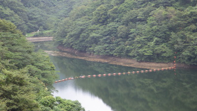 ９月７日のみやび湖内の流木等の様子です。