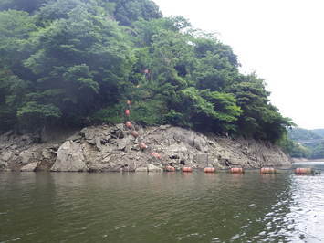 湖の斜面近景です。