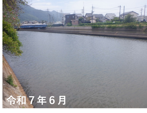 令和7年のご縁橋付近の状況写真