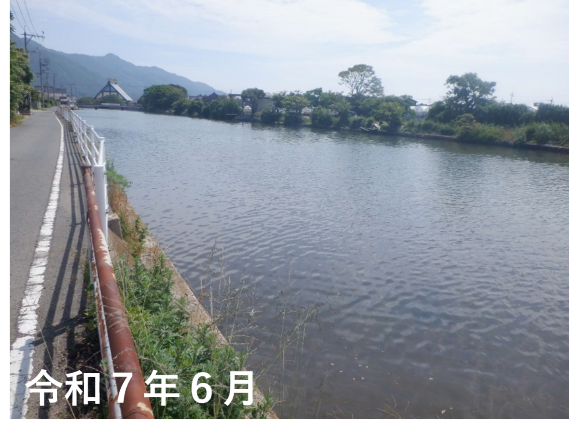 令和7年6月の流下橋と馬渡橋の中間地点から上流方向写真