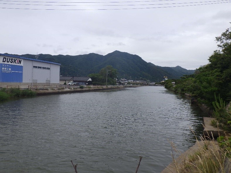 令和7年6月の堀川状況写真
