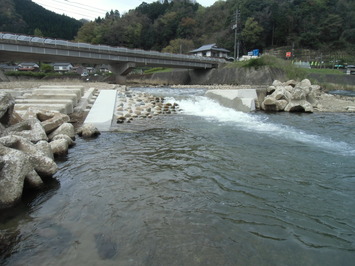 完成した魚道の写真