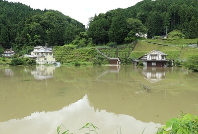 左岸上流部の浸水状況