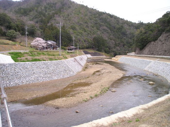 白上川整備後２