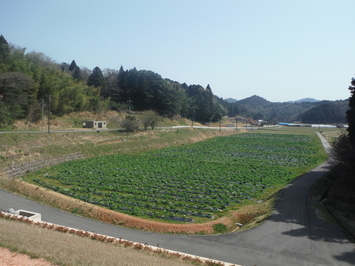 中山長福地区区画整理工事従前写真