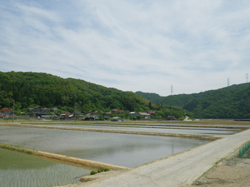 ほ場整備完了後写真