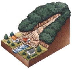 土石流の模式図