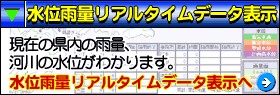 水位雨量リアルタイムデータ