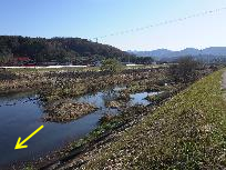 赤川（春植橋上流）整備前