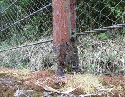 落石防護柵の腐食写真