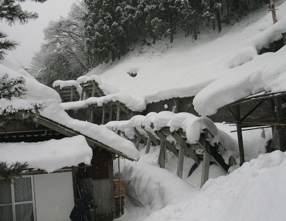 小八川地区の施設効果の写真