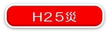 平成25年災害