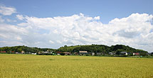 出雲平野