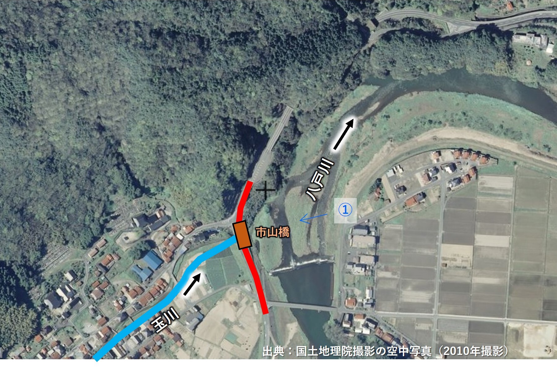 上から見た写真