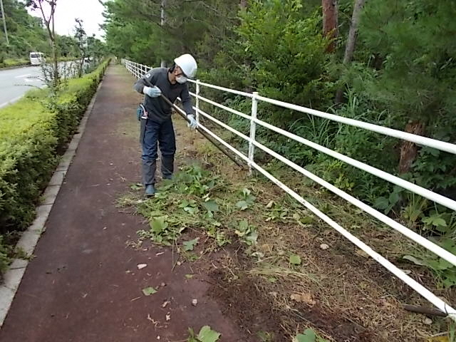 除草状況２