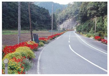 真野原夢街道の活動