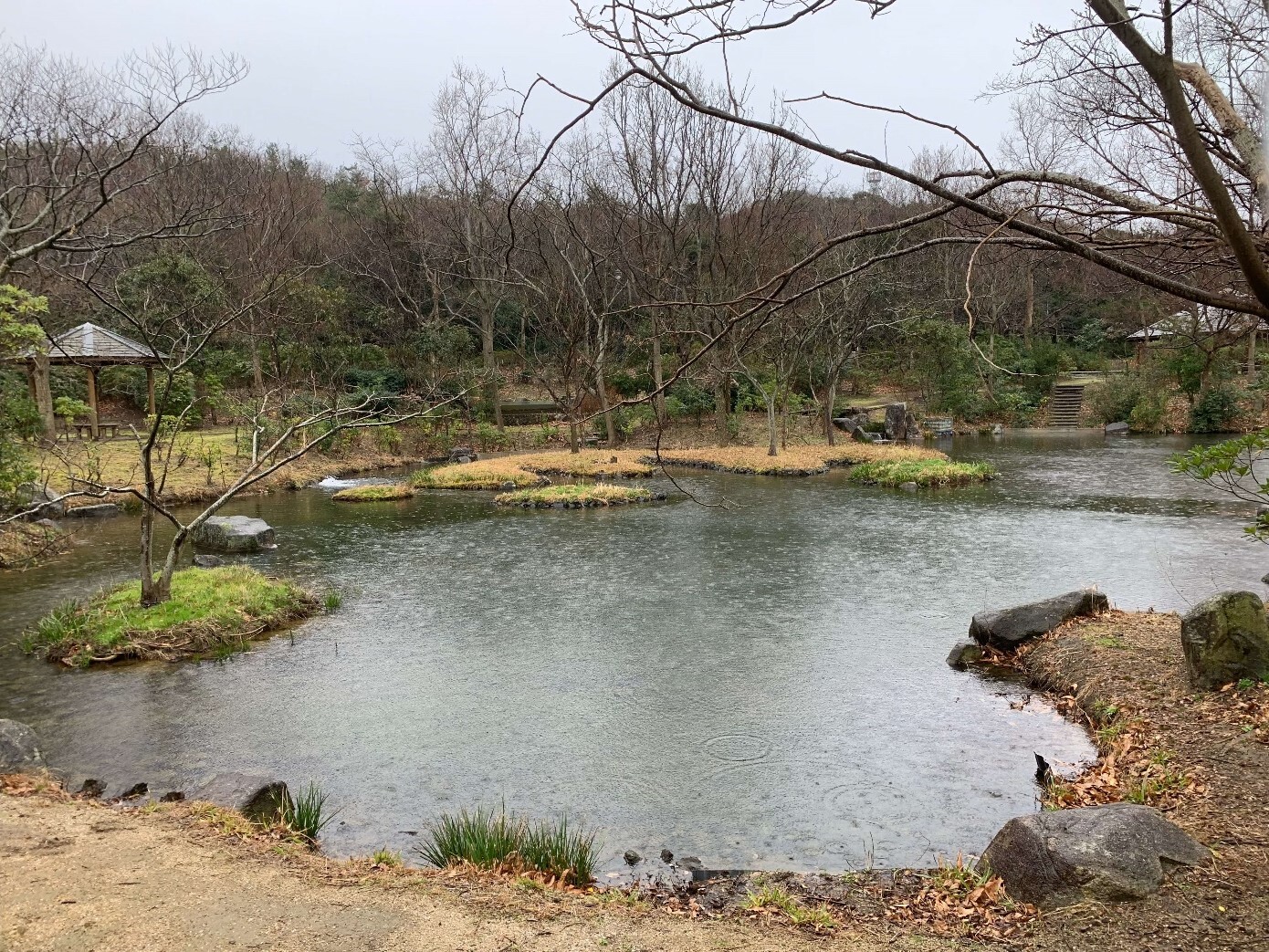 上池写真