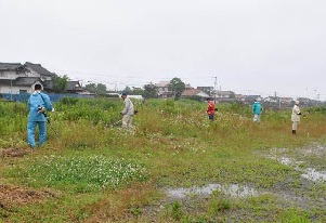 赤川除草状況