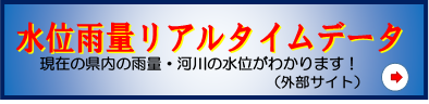 水位雨量リアルタイムデータ（外部サイト）