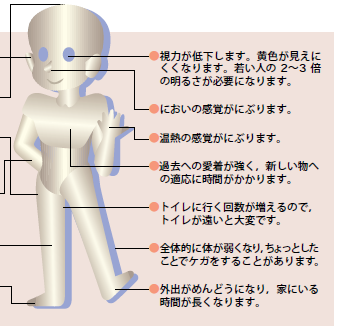 加齢に伴う身体の変化２