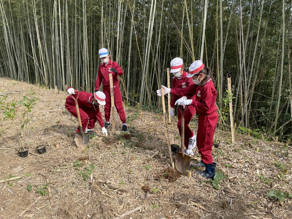 植栽作業中。地面が固くて苦労しました