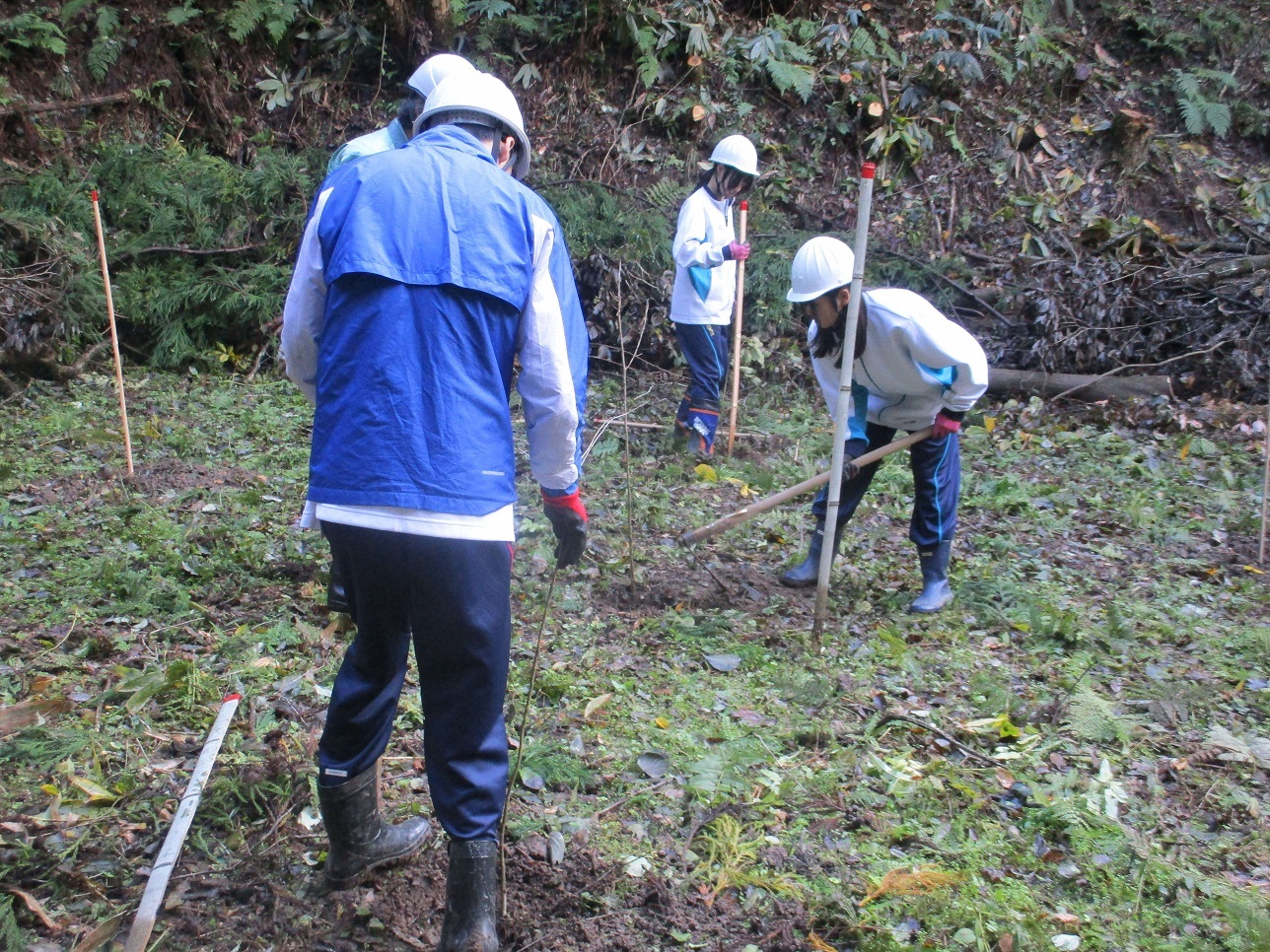 森づくりもりふれ俱楽部１