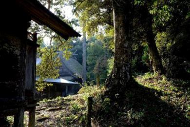 玉若酢命神社古墳群