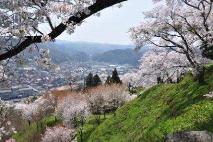 三刀屋尾崎城跡