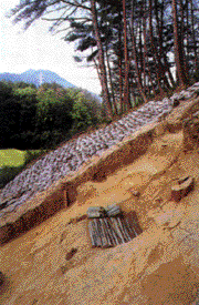 荒神谷遺跡の画像