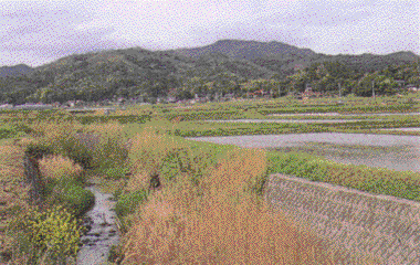 秋鹿町の風景写真