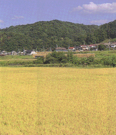 仁多町阿井の写真