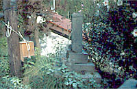 井戸平左衛門の碑写真