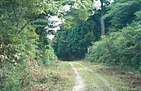 島根県と広島県の県境の旧道写真