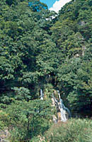青笹川の滝写真
