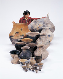 yanoiseki
