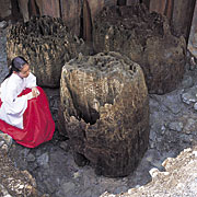 出土した巨大柱の写真