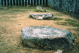 隠岐国分寺跡礎石の画像