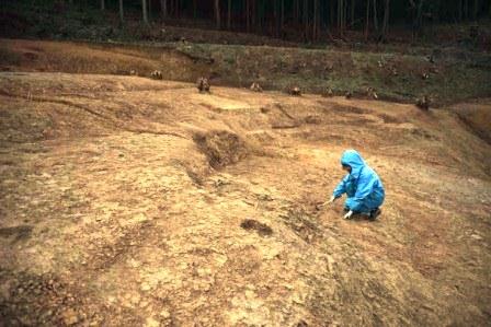 見つかった古墳時代の建物跡