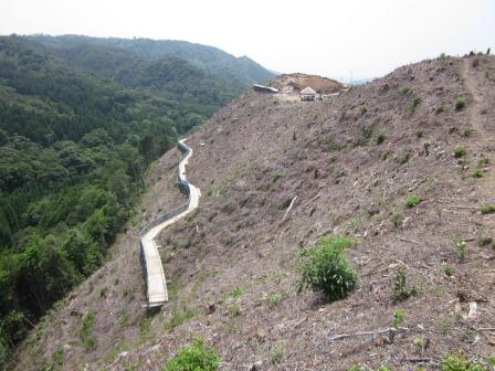 急峻な斜面に位置する大西大師山遺跡の調査区