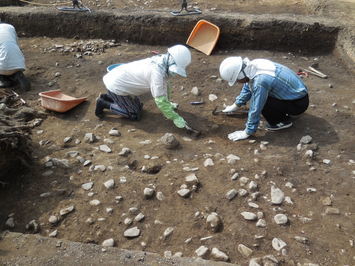 国庁の中心建物である正殿の南側で石敷き遺構を確認中です。1