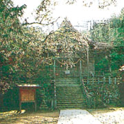 戸田柿本神社の写真