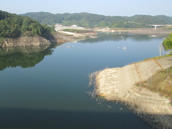 スサノオ大橋からゴール方向を見た水位