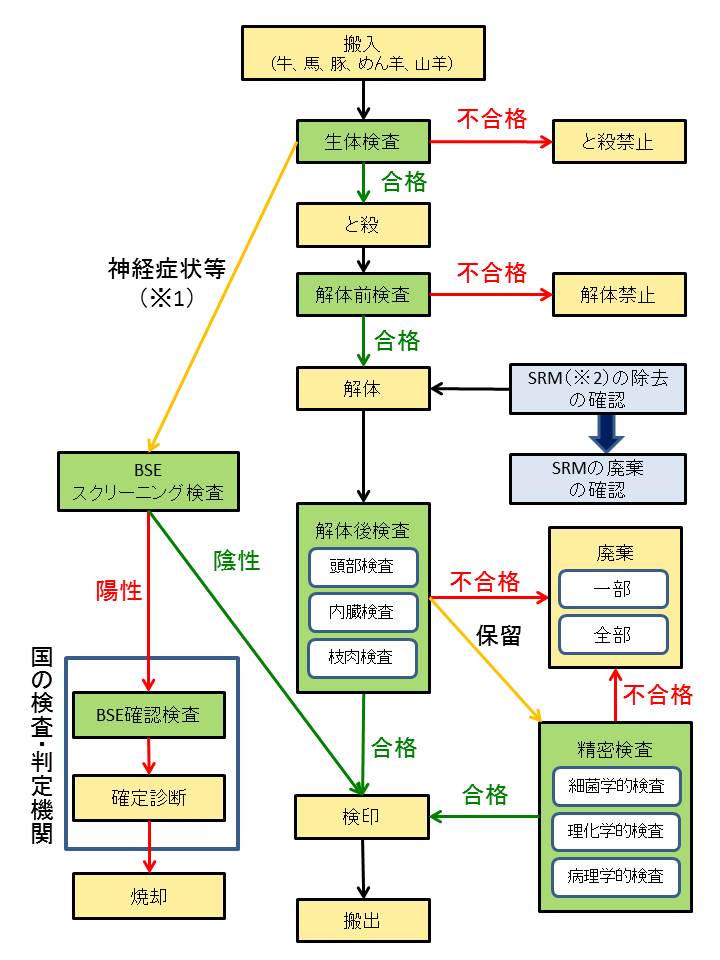 と畜検査のフローチャート