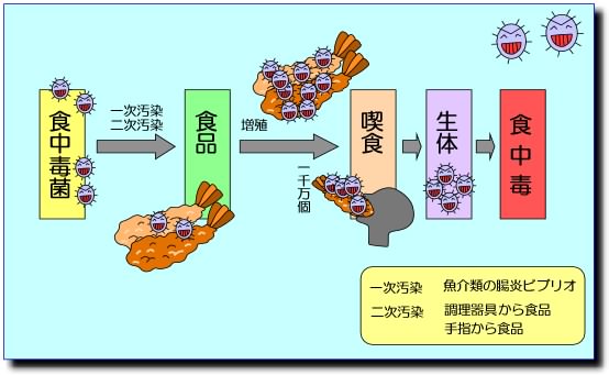 発生しくみ