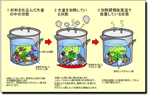 ウエルシュ消長