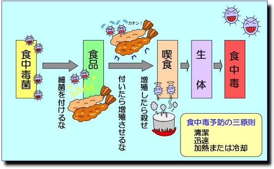 予防について