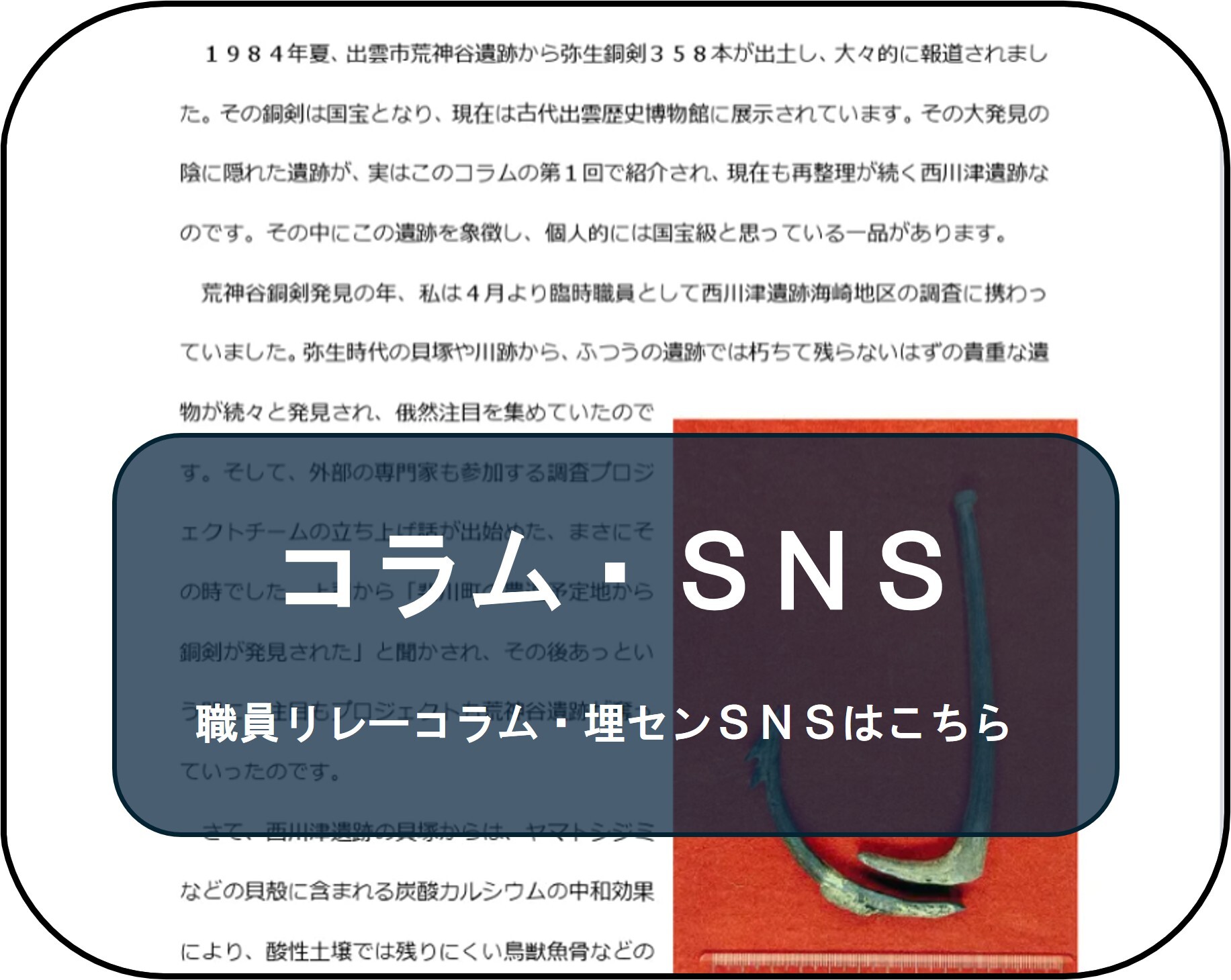 埋蔵文化財に関するコラム・ブログはこちら