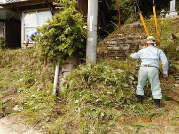 住宅周辺の草刈作業