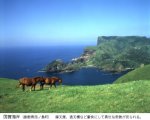 島根県西ノ島町国賀海岸