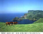島根県西ノ島町 国賀海岸 島根県西ノ島町 国賀海岸